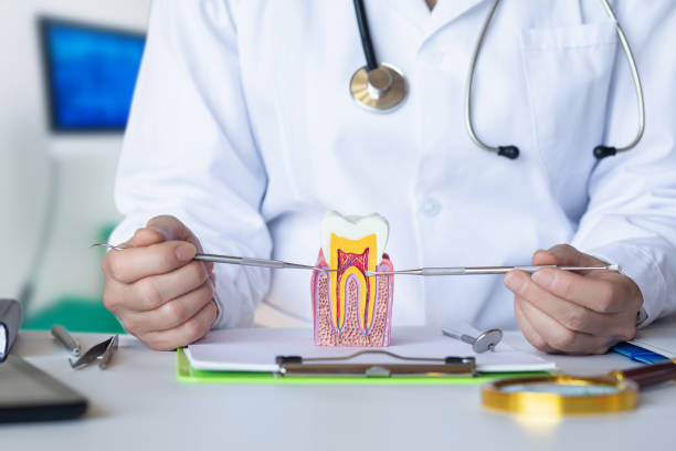 Best Knocked-Out Tooth Emergency  in Price, UT